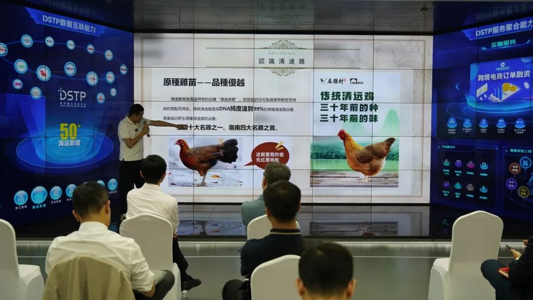 一只“清远鸡”讲述的“业务数据”变现之路